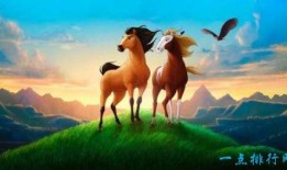 电影小马王在线观看,自由驰骋的青春传奇